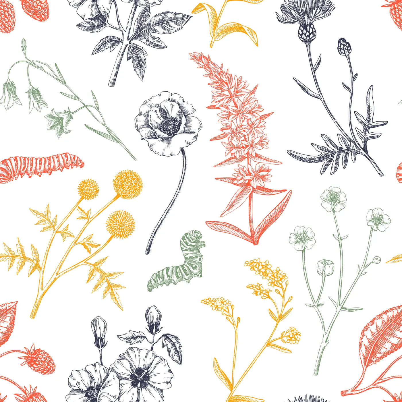 Hand-drawn summer background. Floral texture design in color. Sketched wildflowers seamless pattern. Vector illustration of field of flowers for wedding invitation, greeting cards, textile, packaging Illustration